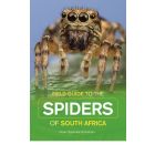 Field Guide to South African Spiders (EBOEK)