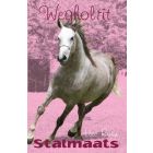 Stalmaats 16: Wegholrit (EBOEK)